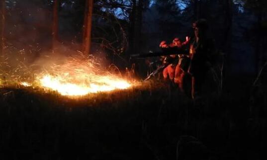 大兴安岭林区发生两起森林火灾 目前扑救工作仍在进行