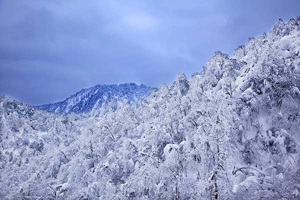 成都周边滑雪最佳景点 西岭雪山游玩攻略