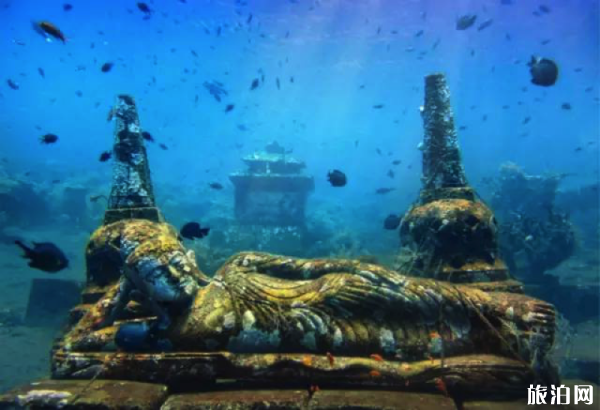 潜水除了看鱼还可以看什么 潜水新奇地点推荐