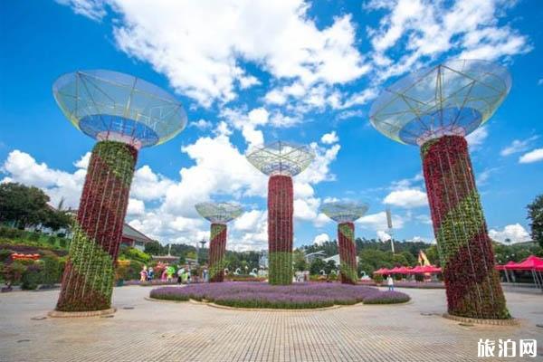 2019云南国庆有什么活动