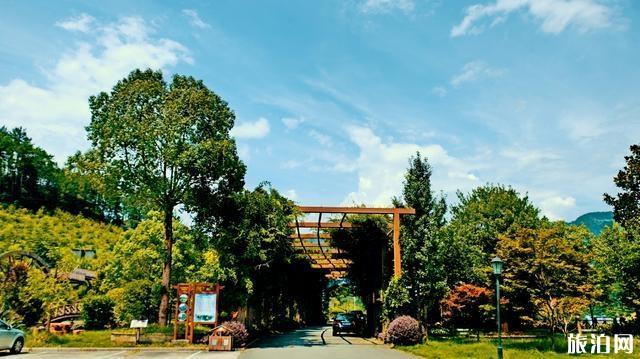 文成旅游美食攻略 文成县有什么好吃的特产 文成旅游美食攻略 文成县有什么好吃的特产