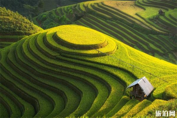 2019贵州六日游游玩攻略 2019贵州六日游游玩攻略