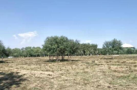 今日内蒙古大部地区晴天在线 呼和浩特气温最高仅22℃