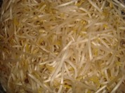 韭菜炒豆芽的做法步骤2