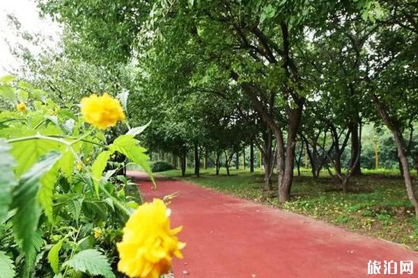 顺义水上公园游玩攻略 顺义水上公园游玩攻略