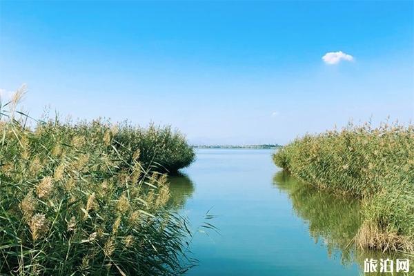 沙湖观鸟什么时候去最好 什么时候去沙湖最好