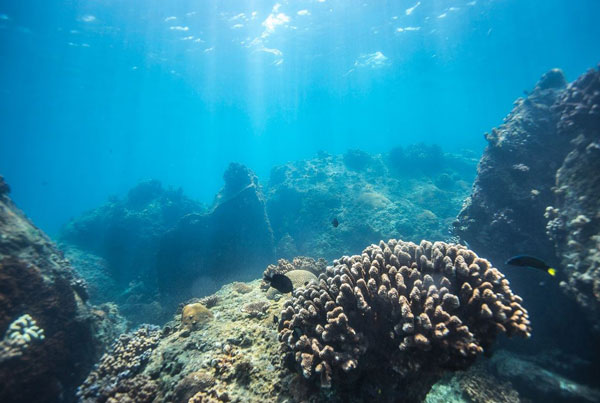 蜈支洲岛一日游怎么玩 蜈支洲岛旅游攻略