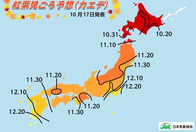 日本红叶时间表大全2019 日本红叶季是几月