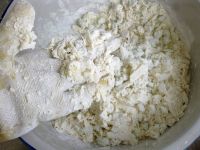 炒不烂子的做法步骤4