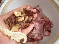 清炖乳鸽的做法步骤2