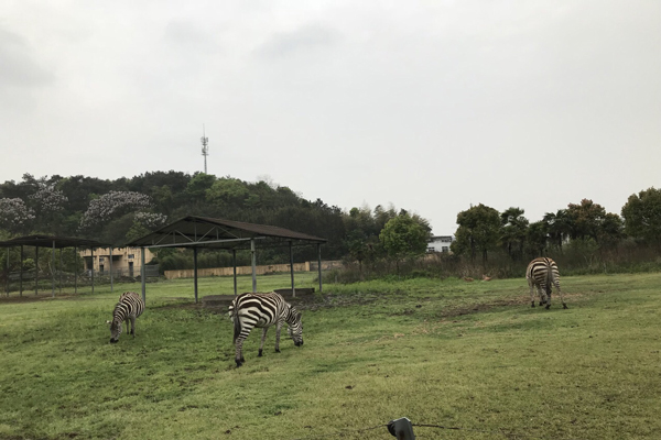 宁波旅游景点大全 宁波旅游介绍