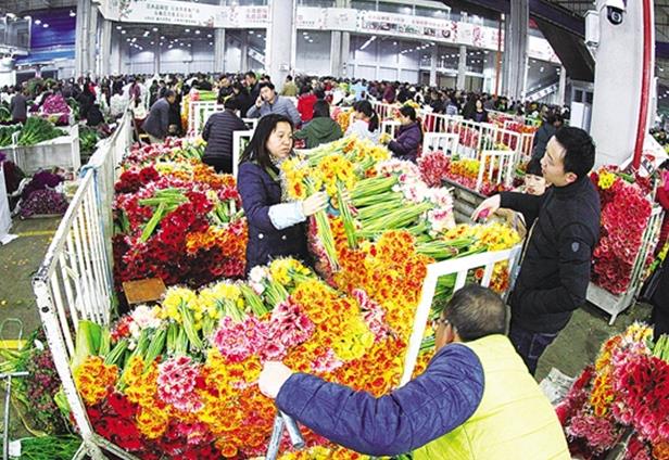 昆明市斗南鲜切花热销