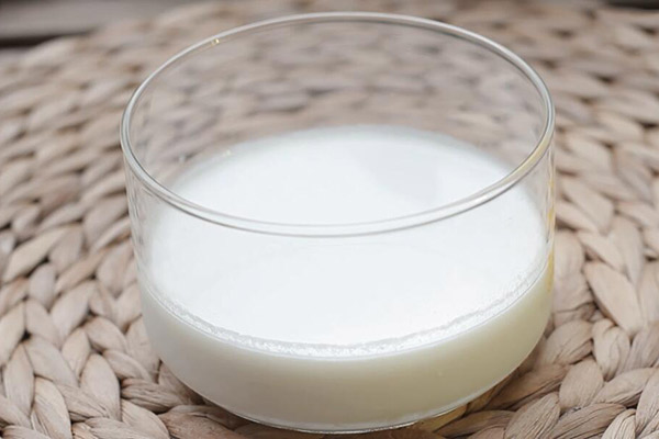 姜汁撞奶的做法 如何做姜汁撞奶