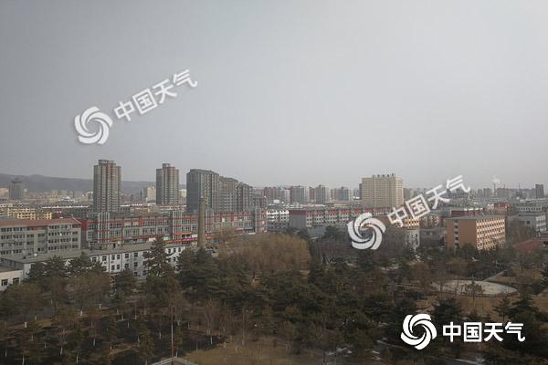 1551063369232046442.jpg