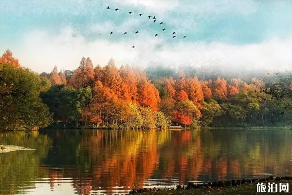 西湖秋天的景色有哪些 西湖秋季旅游攻略