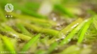 走遍了大半个上海，只为这一口——葱油拌面的做法步骤2