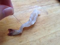 海鲜酱拌面的做法步骤6