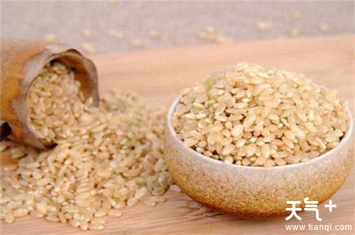 煮粥用什么米比较好 分享6种适合煮粥的米
