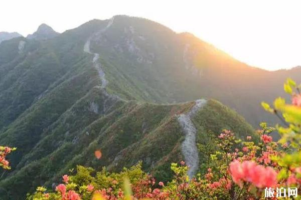 武汉周边避暑好去处推荐 武汉周边避暑好去处推荐