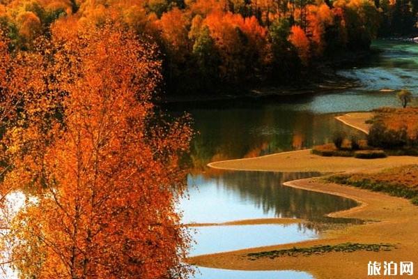 伊犁薰衣草什么时候开花 什么时候去新疆最好 伊犁薰衣草什么时候开花 什么时候去新疆最好