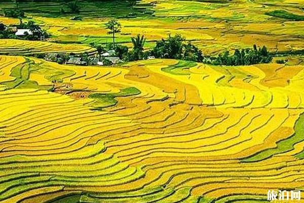 云南玉溪旅游景点介绍