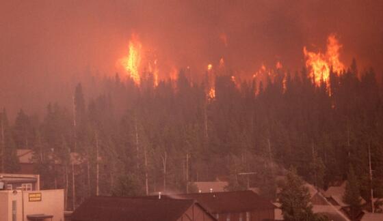 墨西哥南部森林火灾造成9人死亡 目前火情已得到基本控制