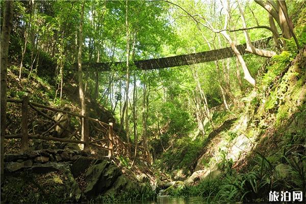 岳阳刘备洞峡谷景区一日游 门票多少钱