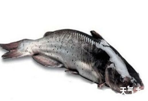 苏州虎丘知名特产有哪些？