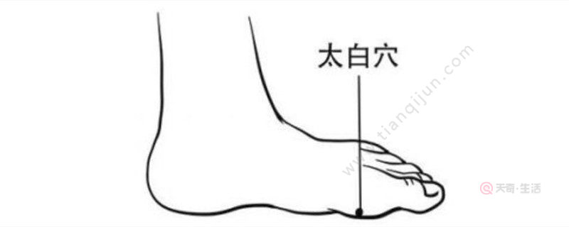 太白的准确位置图和作用