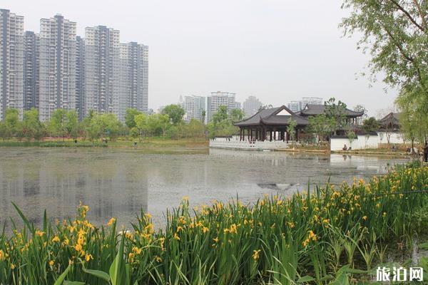 武汉沙湖公园游玩攻略 武汉沙湖公园一圈多少公里