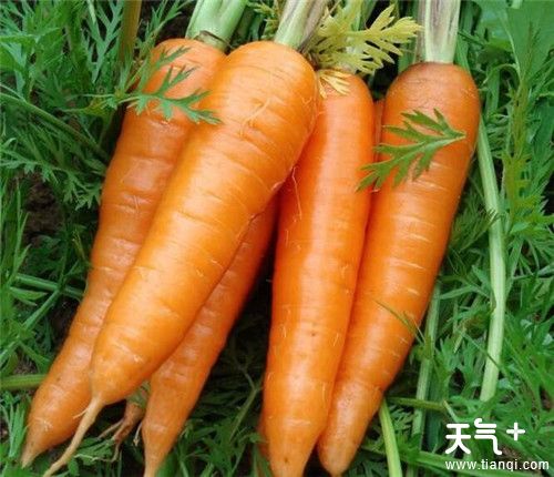 青春痘怎么快速消除？消除青春痘的方法