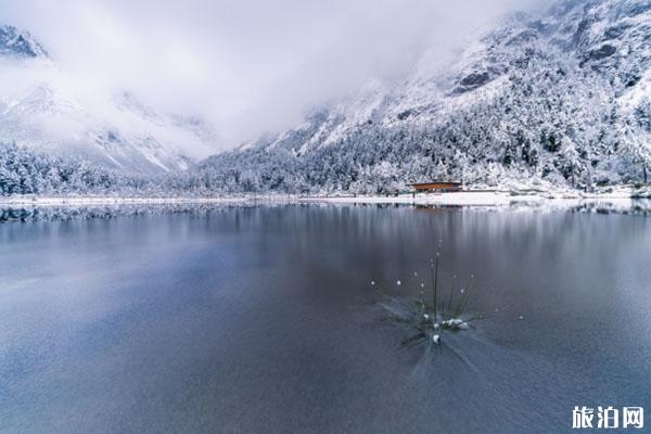 四川滑雪场那个最好（鹧鸪山滑雪场+毕棚沟滑雪场）
