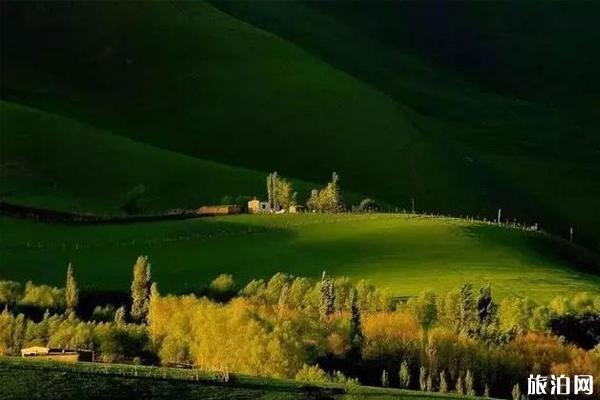 新疆有哪些绝佳小众打卡地呢  2019新疆自助游攻略