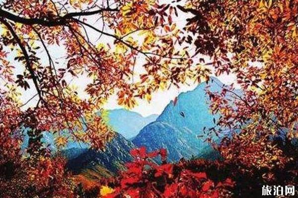秋天去山东旅游必去的地方推荐