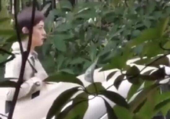 孙俪请求停止偷拍是怎么回事 孙俪斥偷拍者原因为何