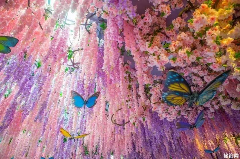 2019重庆幻太奇海洋馆八月优惠活动+游乐项目 2019重庆幻太奇海洋馆八月优惠活动+游乐项目