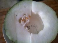 火腿虾泥冬瓜的做法步骤1
