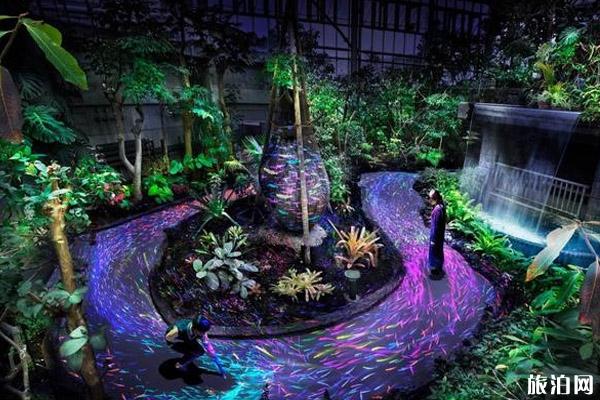 2019年夏季日本灯光秀时间+地点+介绍