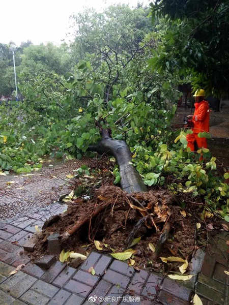 台风帕卡已上岸 粤桂滇仍有暴雨莫松懈