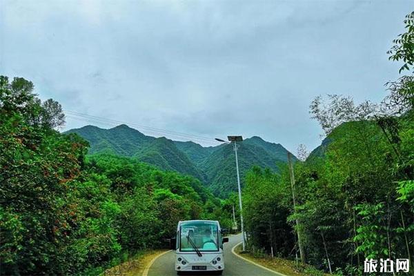 栾川王府竹海景区优惠信息汇总