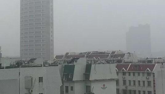 受海上浓雾影响 厦门多条海上客运航线停航