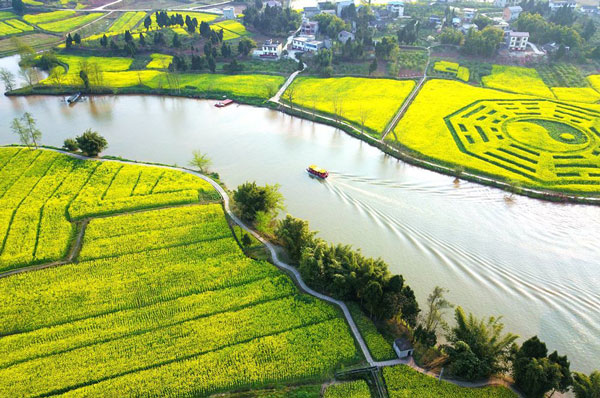 2019重庆潼南油菜花开了吗 2019潼南菜花节时间