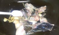 酸菜鱼头汤的做法步骤6
