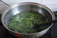 北极虾荠菜炖蛋的做法步骤1