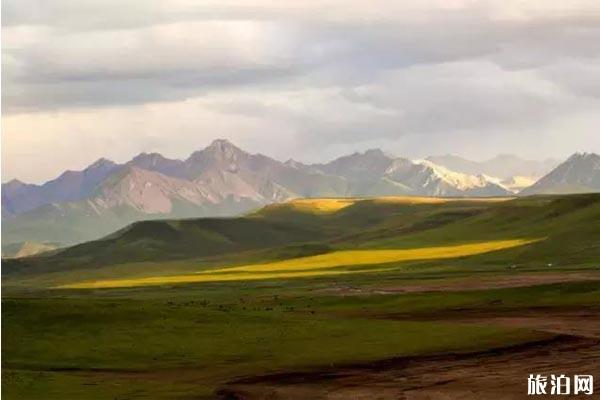 甘肃秋景哪里最美