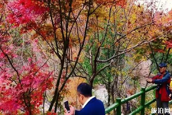 2019崂山九水红叶节时间+地点+活动介绍