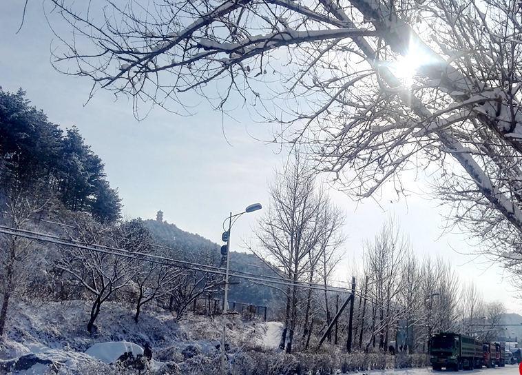 这么美！辽宁多地迎降雪 银装素裹