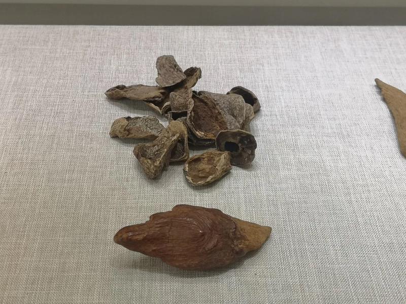 天津沉香艺术博物馆怎么样 天津沉香艺术博物馆好玩吗 天津沉香艺术博物馆怎么样 天津沉香艺术博物馆好玩吗