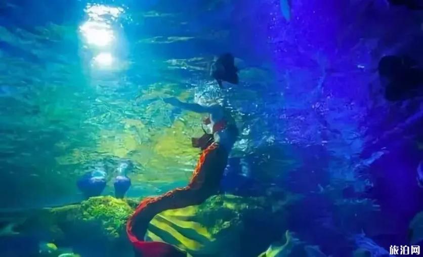 2019重庆幻太奇海洋馆八月优惠活动+游乐项目 2019重庆幻太奇海洋馆八月优惠活动+游乐项目