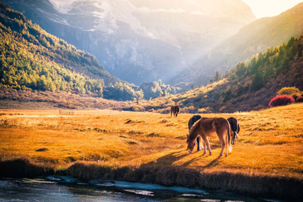 九月份去稻城亚丁玩合适吗 九月份去稻城亚丁可以吗
